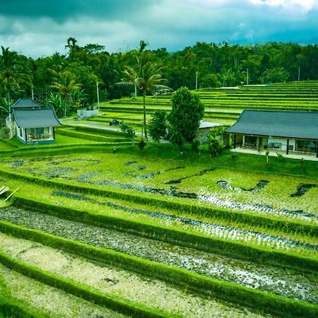 Kubu D'Ume Homestay Jatiluwih Eksteriør billede