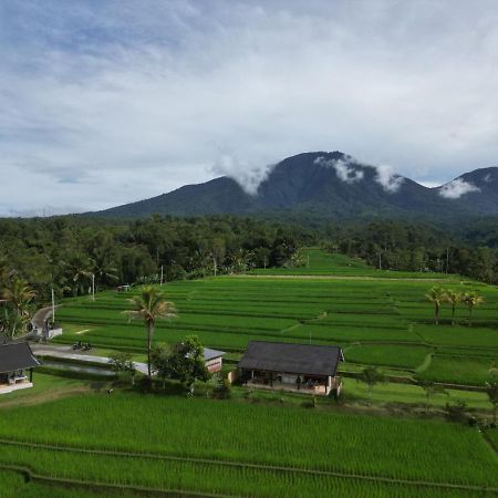 Kubu D'Ume Homestay Jatiluwih Eksteriør billede