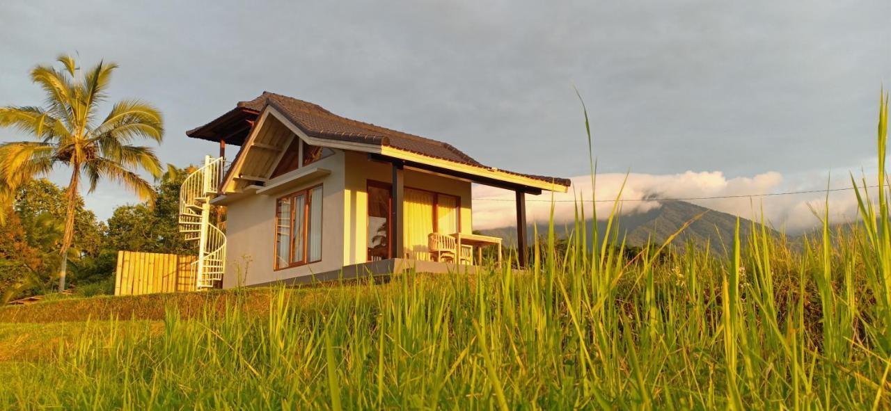 Kubu D'Ume Homestay Jatiluwih Eksteriør billede