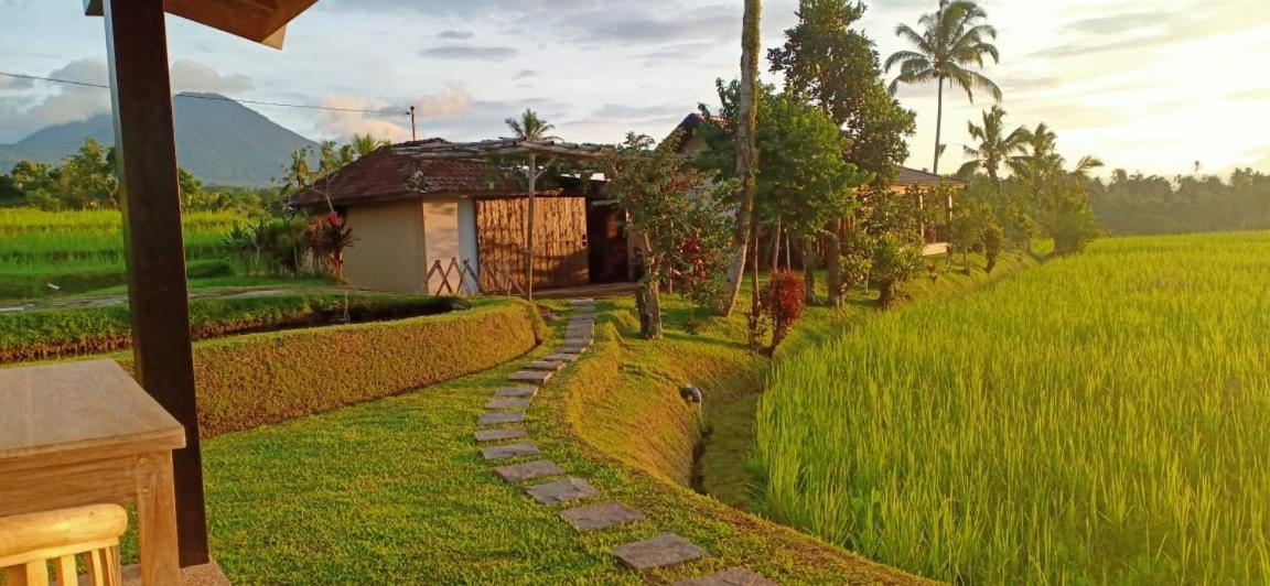 Kubu D'Ume Homestay Jatiluwih Eksteriør billede