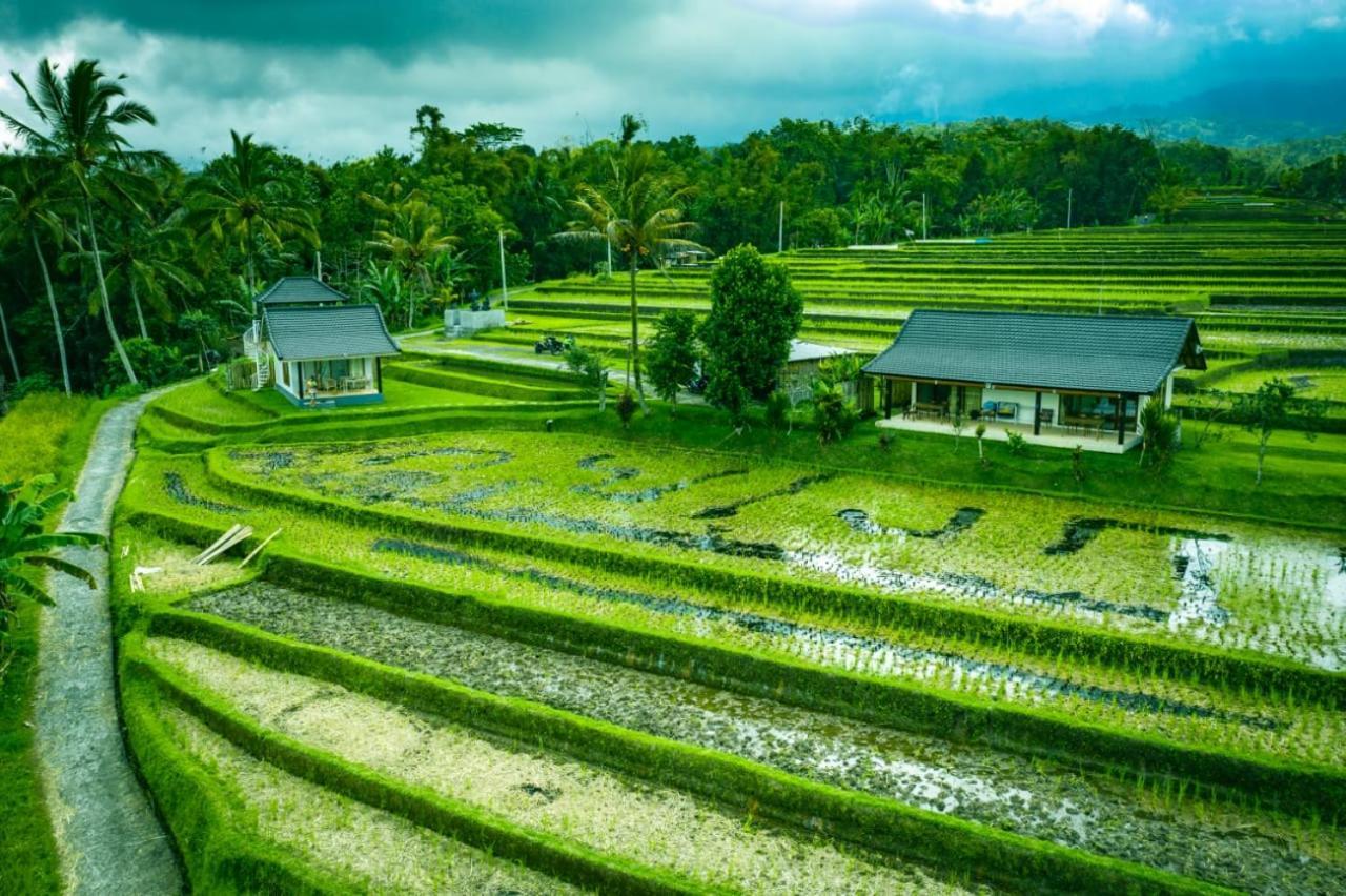 Kubu D'Ume Homestay Jatiluwih Eksteriør billede