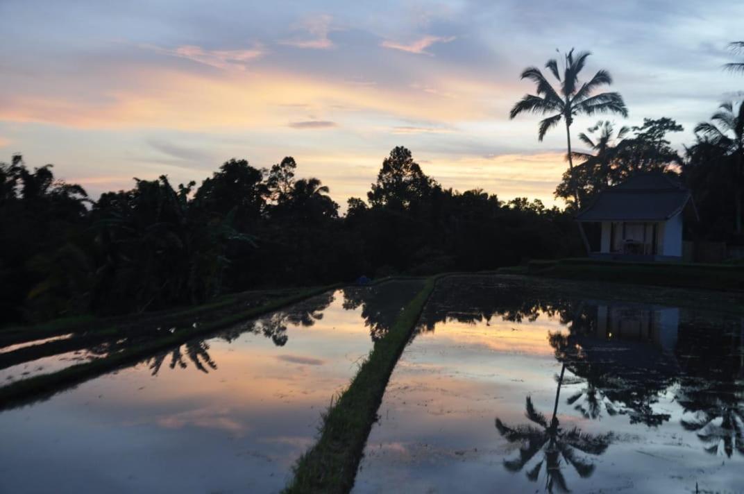 Kubu D'Ume Homestay Jatiluwih Eksteriør billede
