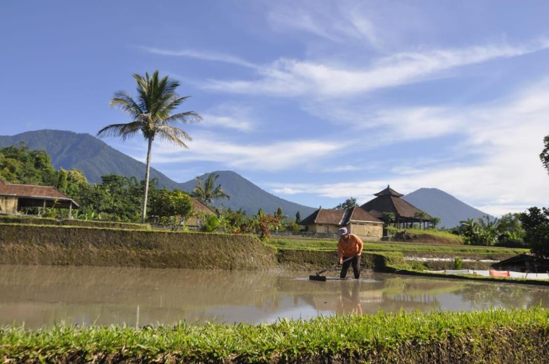 Kubu D'Ume Homestay Jatiluwih Eksteriør billede