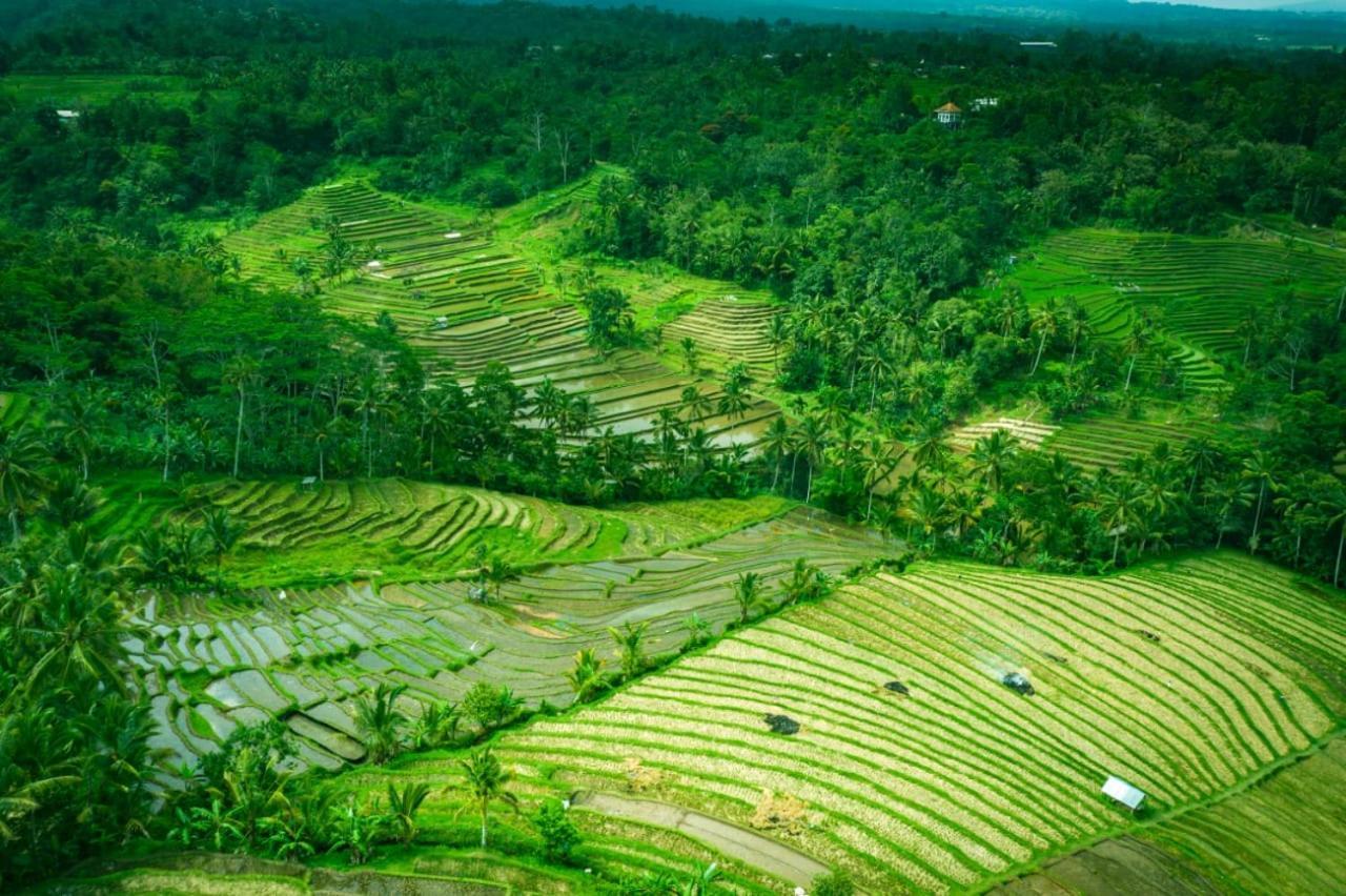 Kubu D'Ume Homestay Jatiluwih Eksteriør billede