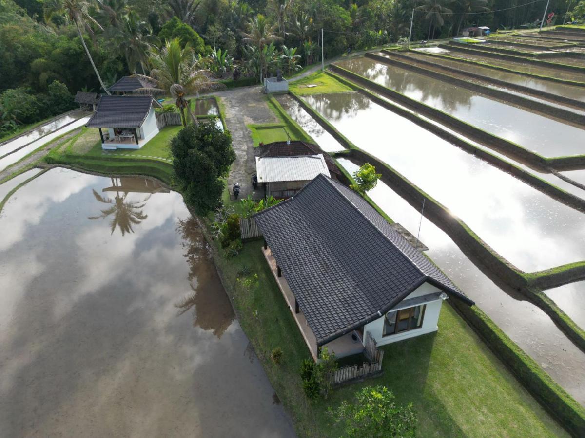 Kubu D'Ume Homestay Jatiluwih Eksteriør billede