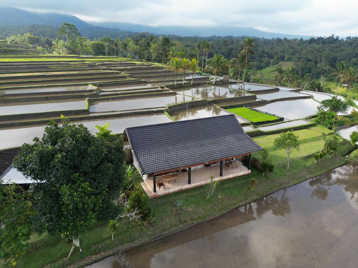 Kubu D'Ume Homestay Jatiluwih Eksteriør billede