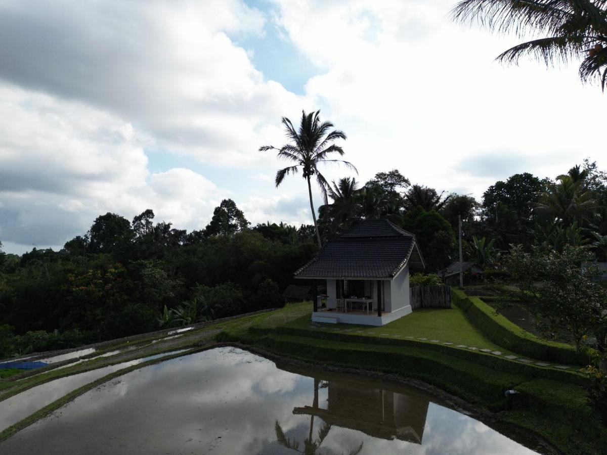 Kubu D'Ume Homestay Jatiluwih Eksteriør billede