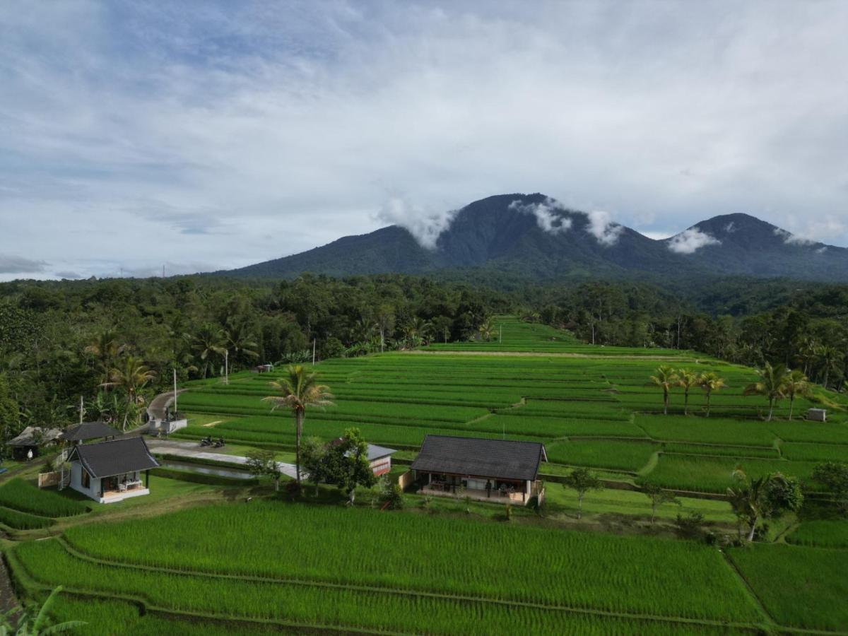Kubu D'Ume Homestay Jatiluwih Eksteriør billede