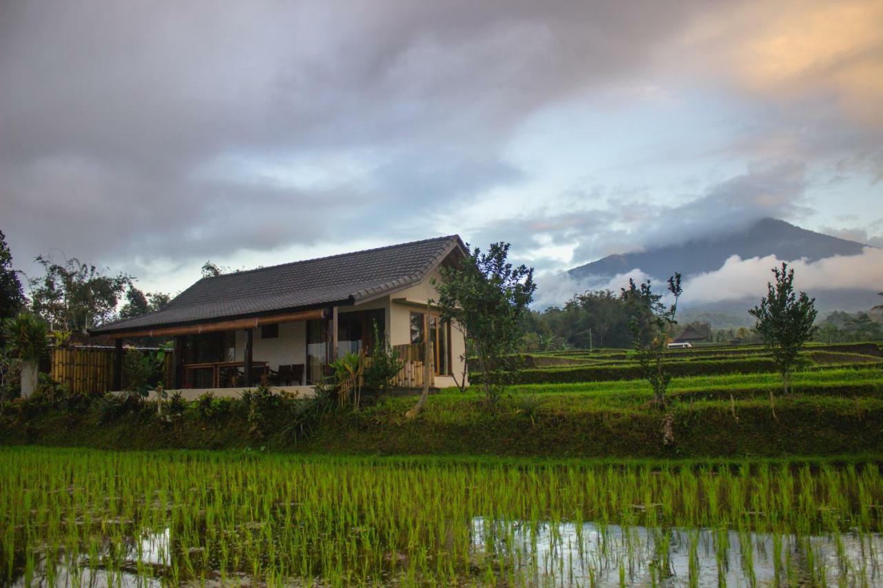 Kubu D'Ume Homestay Jatiluwih Eksteriør billede