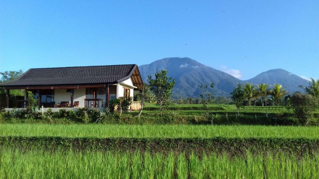 Kubu D'Ume Homestay Jatiluwih Eksteriør billede