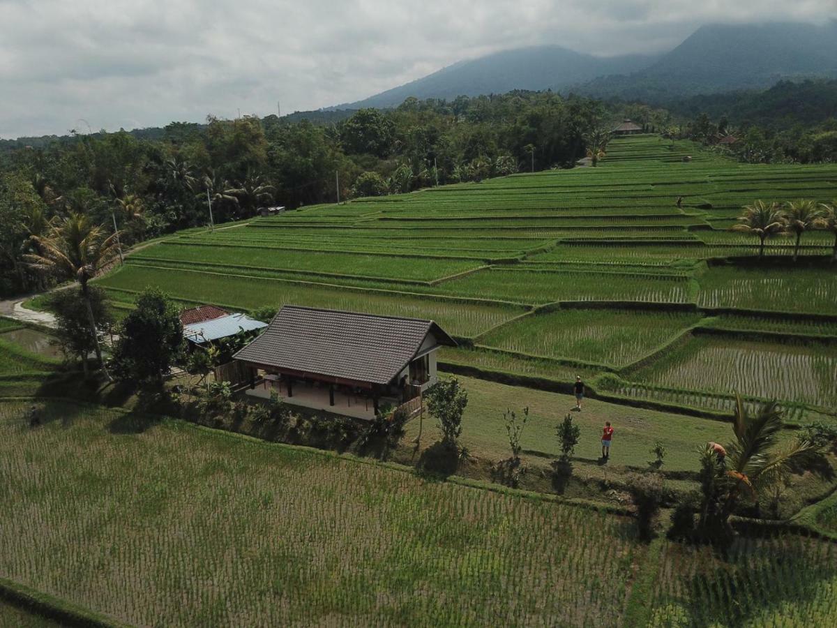 Kubu D'Ume Homestay Jatiluwih Eksteriør billede