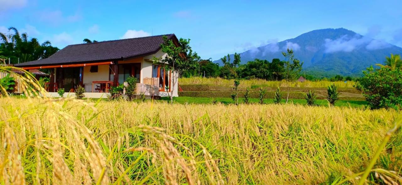 Kubu D'Ume Homestay Jatiluwih Eksteriør billede