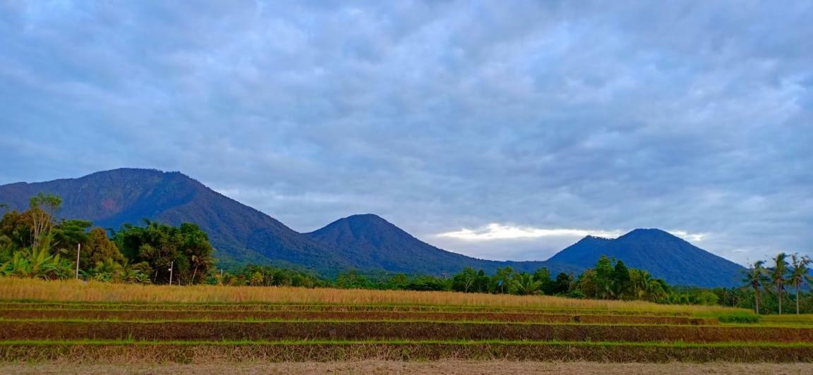 Kubu D'Ume Homestay Jatiluwih Eksteriør billede