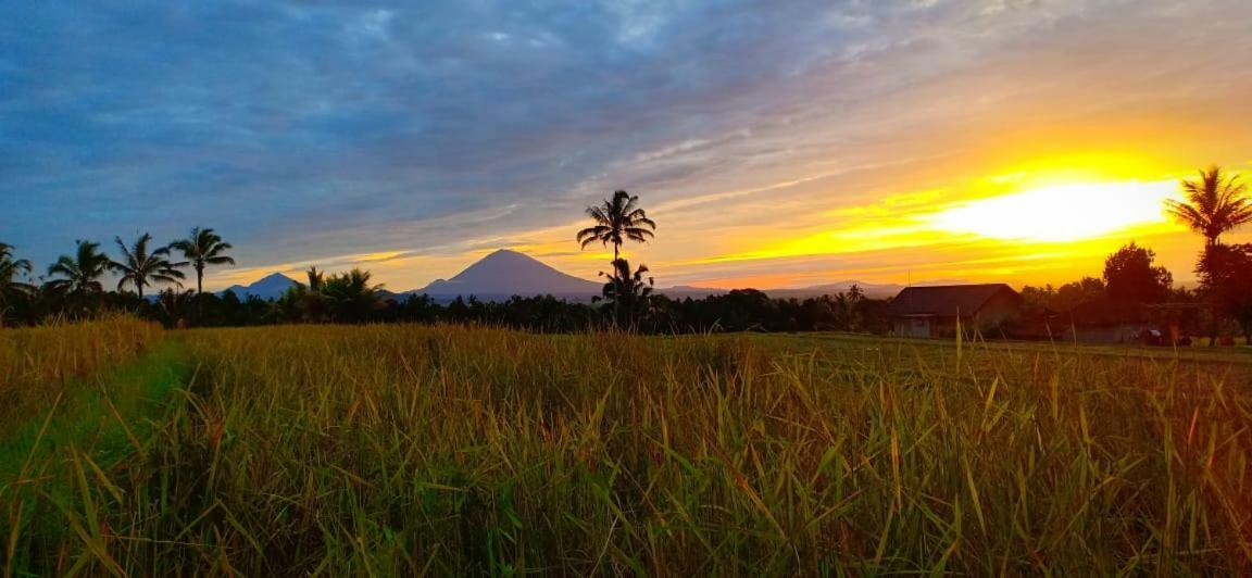 Kubu D'Ume Homestay Jatiluwih Eksteriør billede