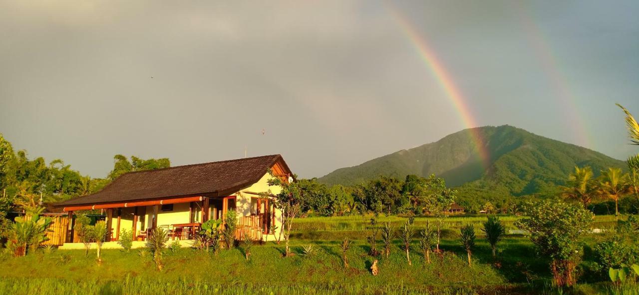 Kubu D'Ume Homestay Jatiluwih Eksteriør billede