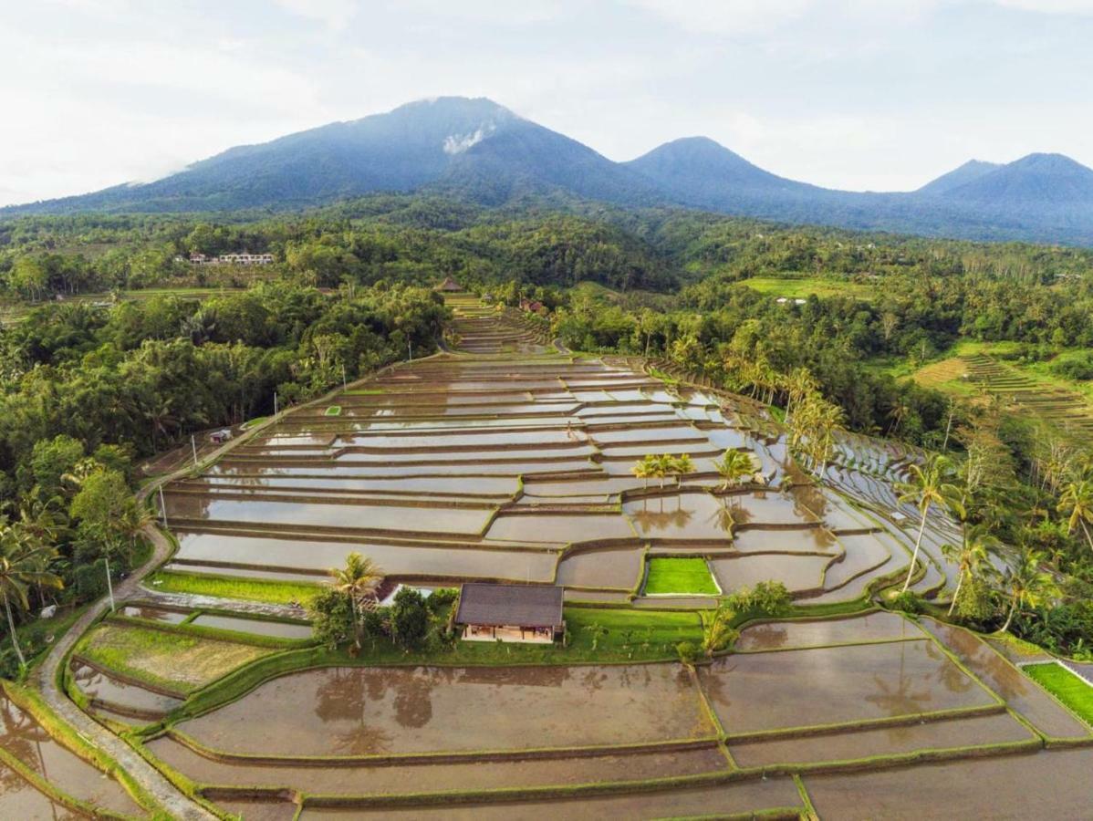 Kubu D'Ume Homestay Jatiluwih Eksteriør billede