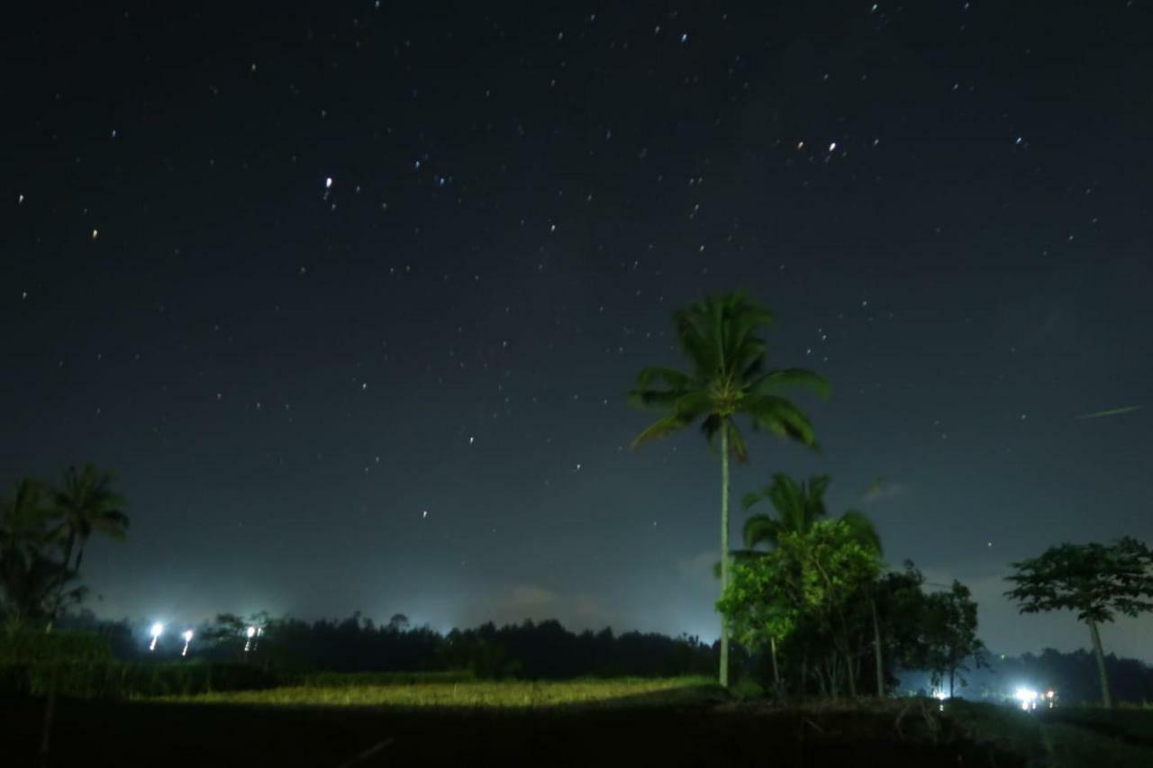 Kubu D'Ume Homestay Jatiluwih Eksteriør billede