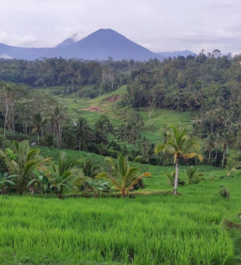 Kubu D'Ume Homestay Jatiluwih Eksteriør billede