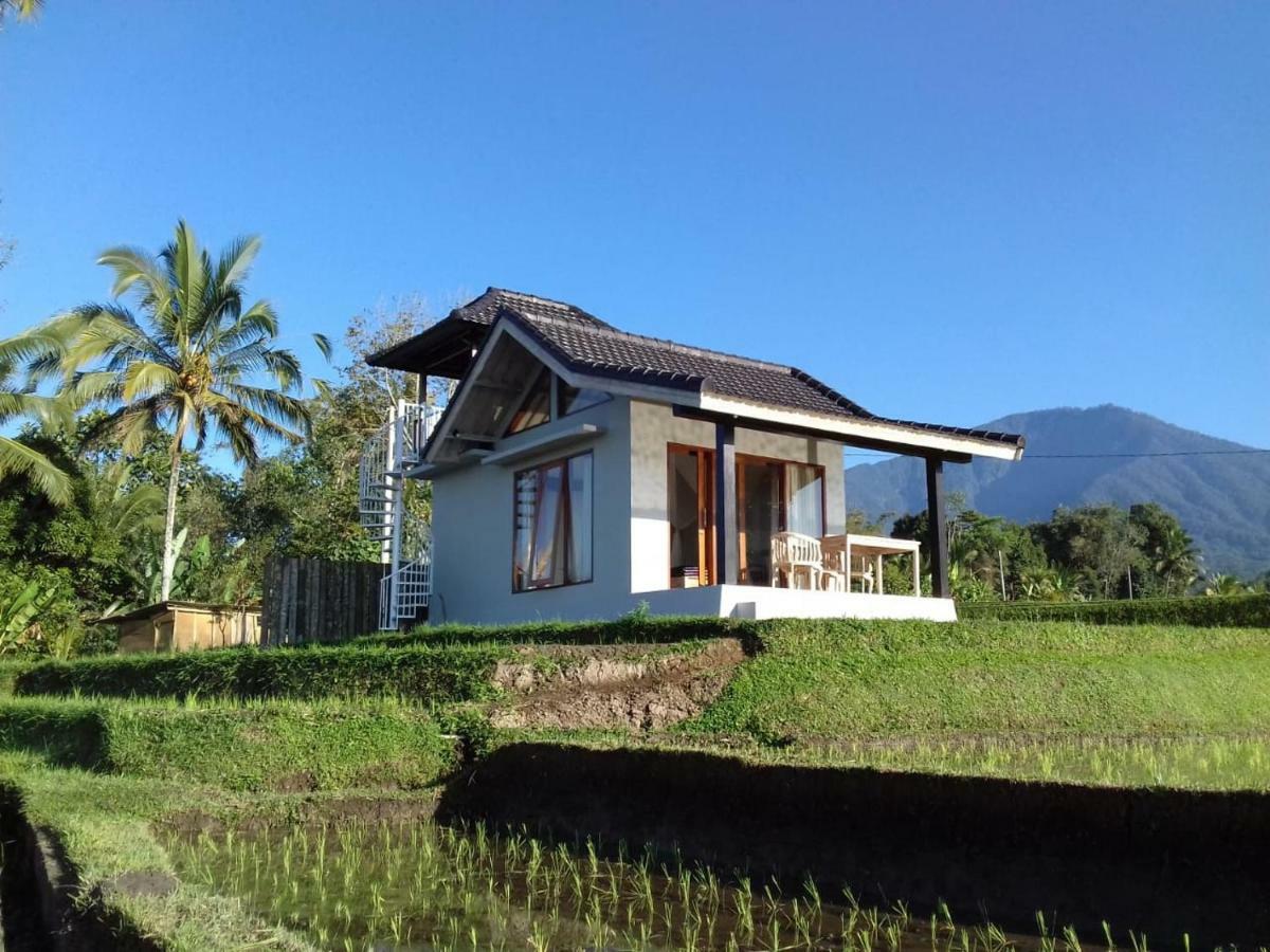 Kubu D'Ume Homestay Jatiluwih Eksteriør billede