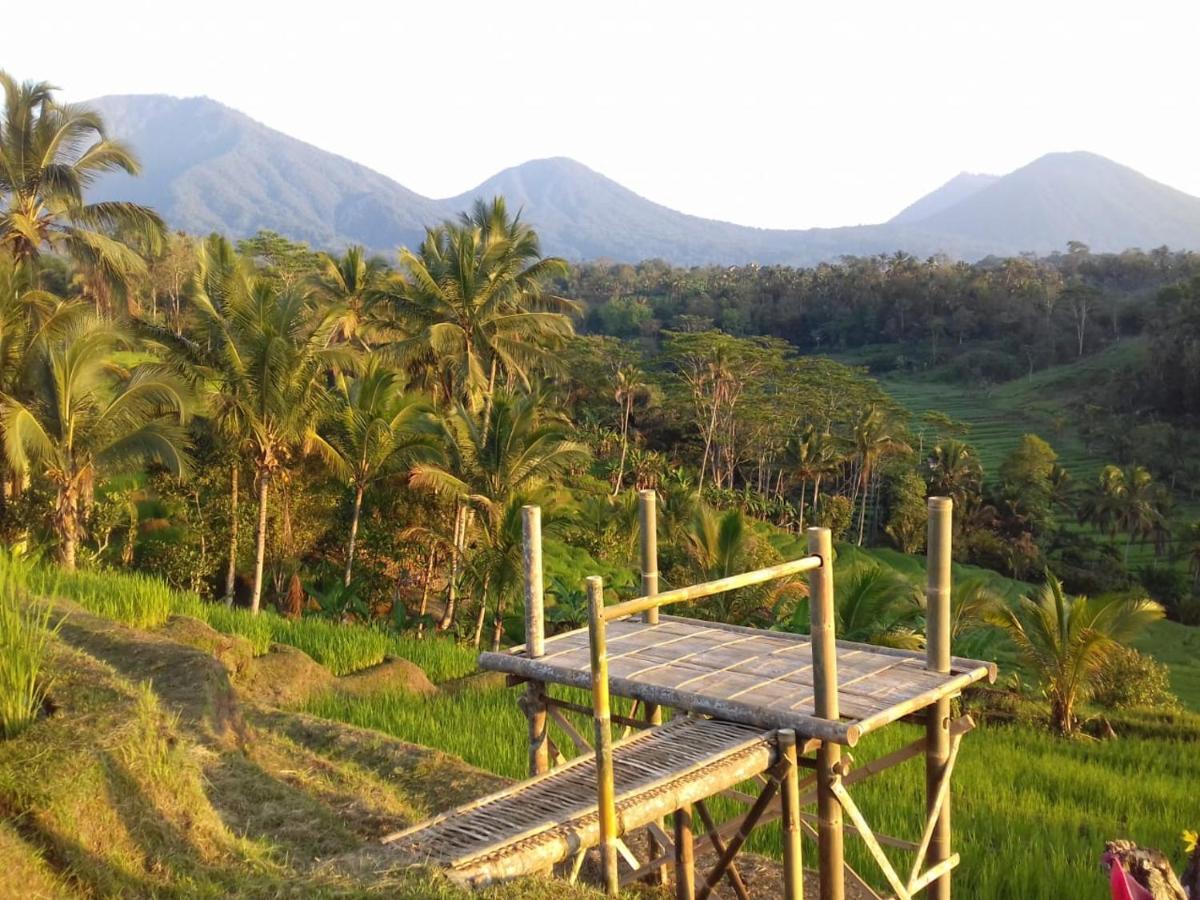 Kubu D'Ume Homestay Jatiluwih Eksteriør billede